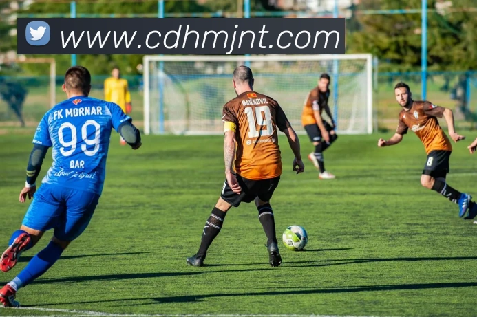 世界杯开户平台平台生态图